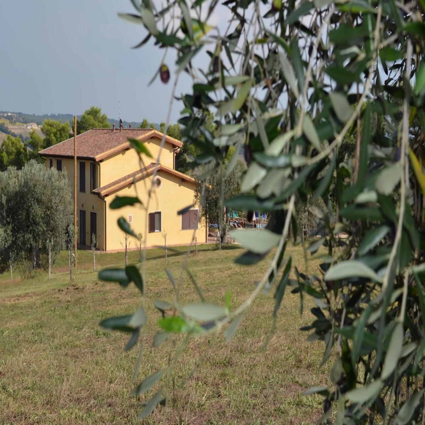 Agriturismo Fontelisa Villa Montiano  Exterior foto